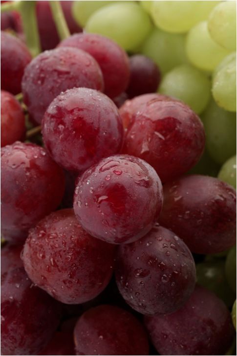 australian table grapes