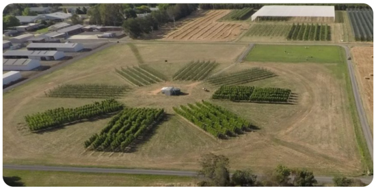 Sun dial orchard